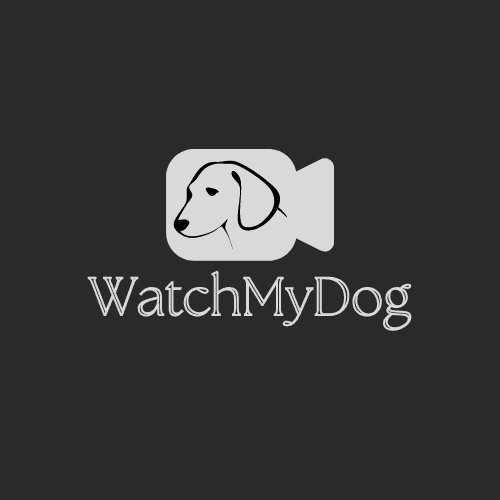 Watch My Dog